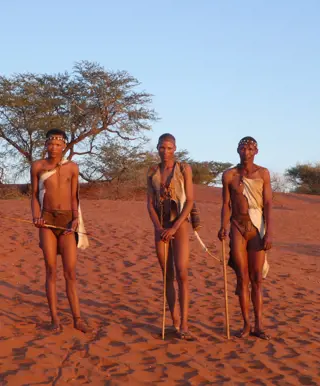 Den Namibischen Teil der Kalahari entdecken